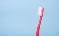 Brush (Photo by Alex Padurariu on Unsplash)